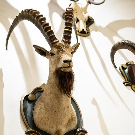 Canisiusbruennl Self- Check In 公寓 *