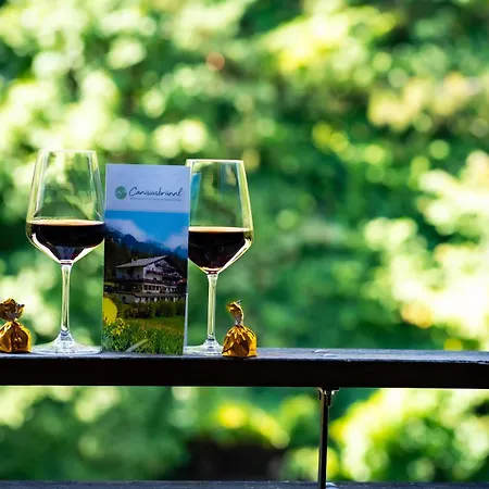 Daire Canisiusbruennl Self- Check In *