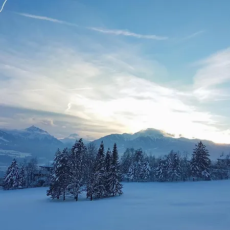Canisiusbruennl Self- Check In Apartment *
