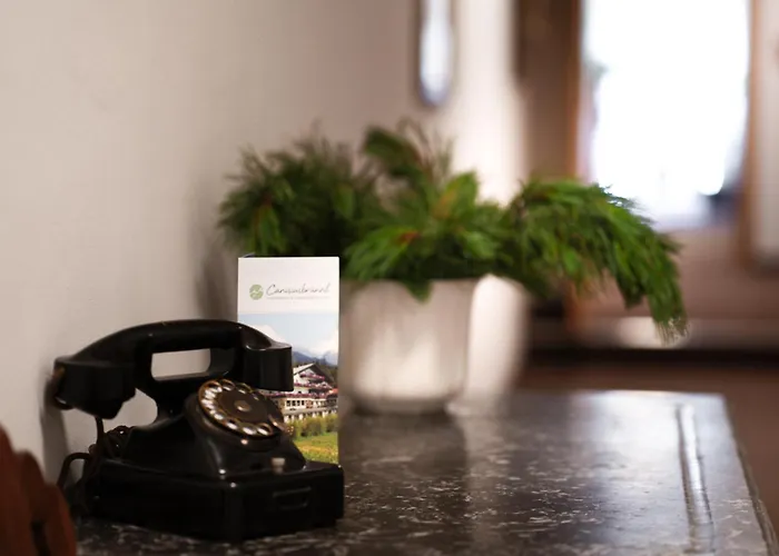 Canisiusbruennl Self- Check In