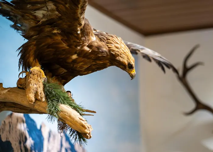 Canisiusbruennl Self- Check In Innsbruck