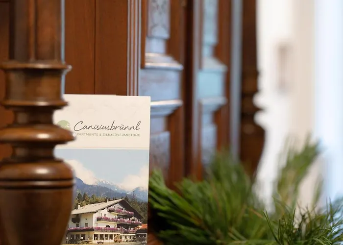 Canisiusbruennl Self- Check In *